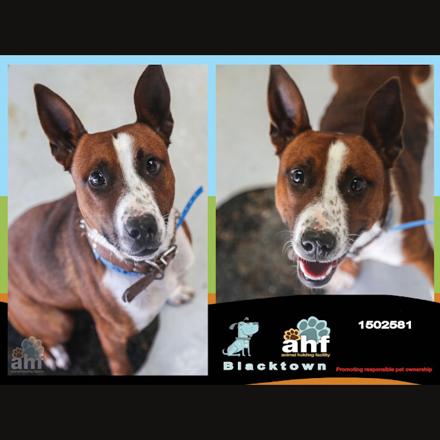 Photo of Clay ~ #1502581