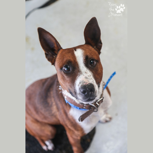 Photo of Clay ~ #1502581