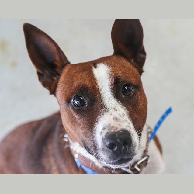 Photo of Clay ~ #1502581