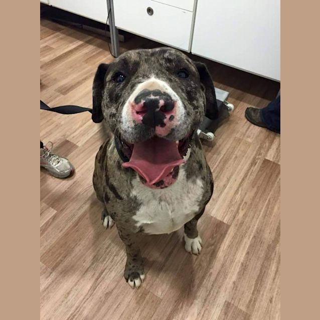 Photo of Zeus