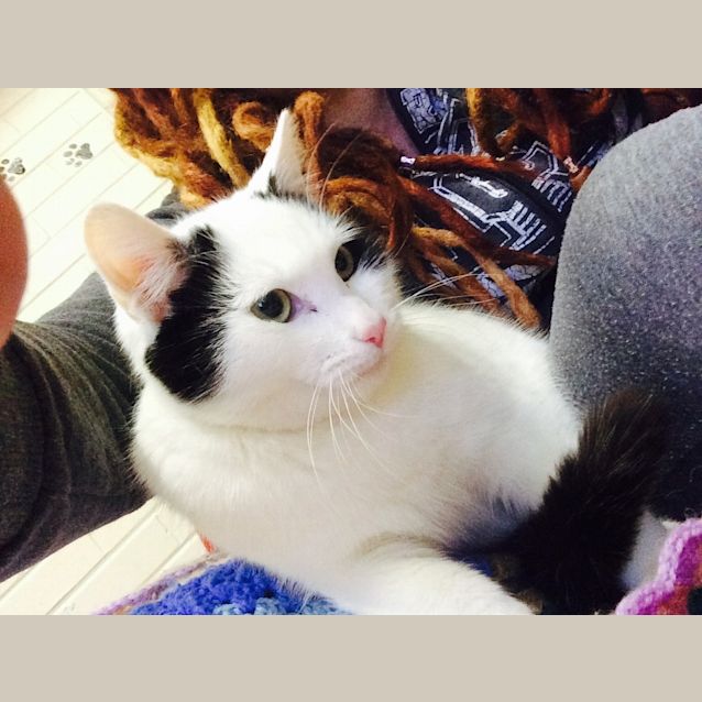 Photo of Ghost Reduced To $80