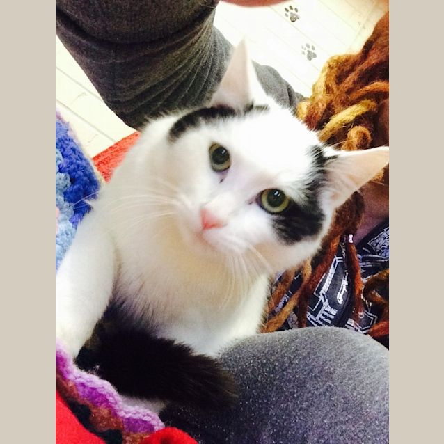 Photo of Ghost Reduced To $80