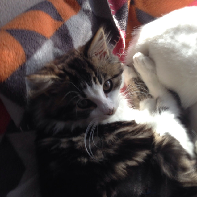 Photo of Macey