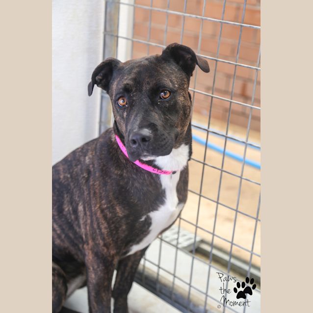 Photo of Bella ~ #1502512