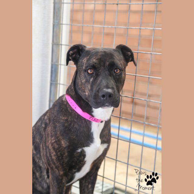 Photo of Bella ~ #1502512