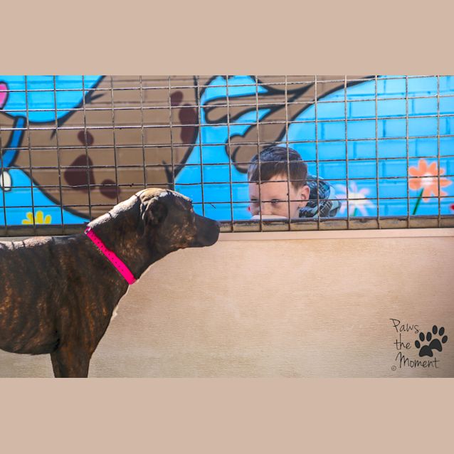 Photo of Bella ~ #1502512