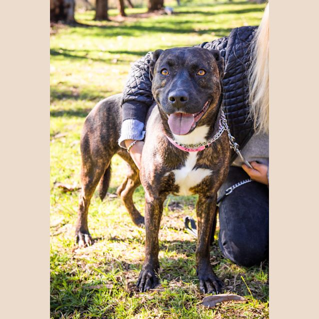 Photo of Bella ~ #1502512