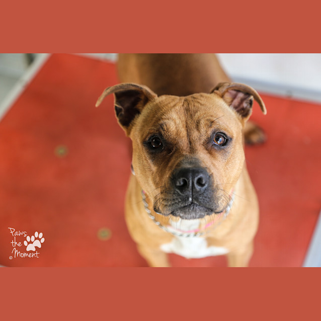 Photo of Ruby ~ #1502748