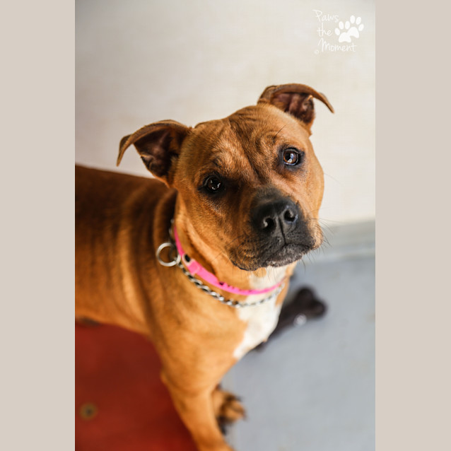 Photo of Ruby ~ #1502748