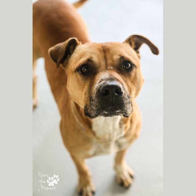 Photo of Milo ~ #1502761