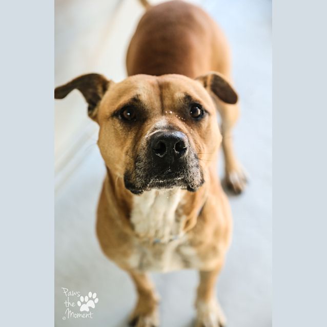 Photo of Milo ~ #1502761