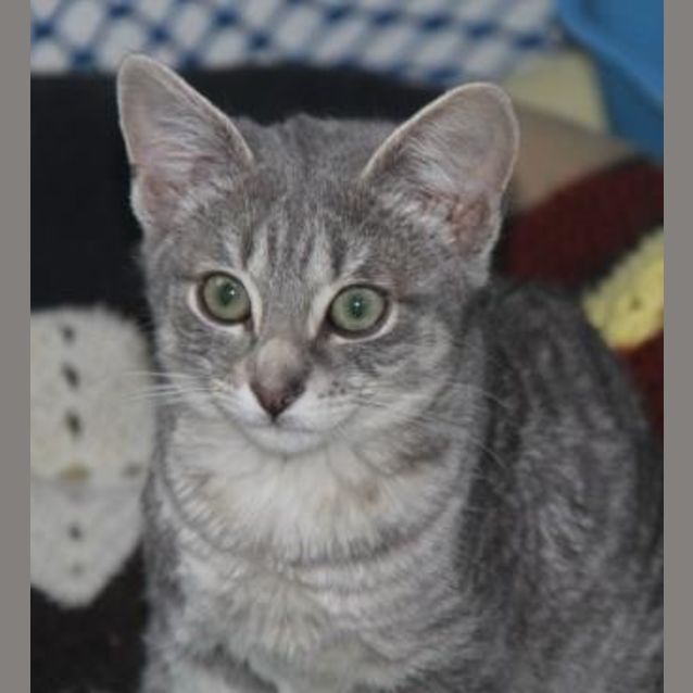Photo of Bud