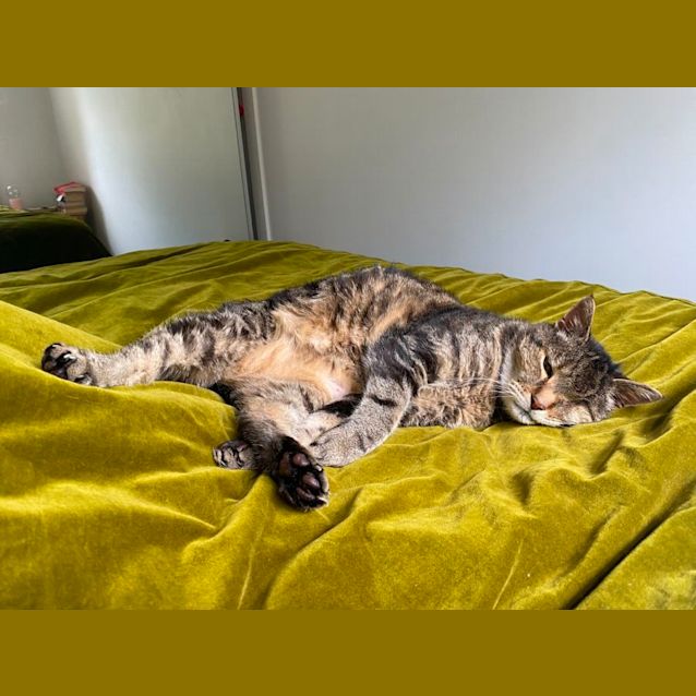 Photo of Kai Sua011458