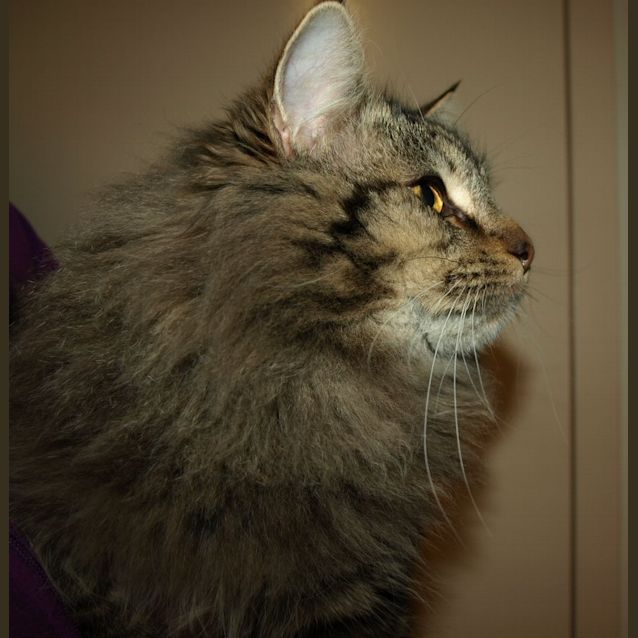 Photo of Sedrick