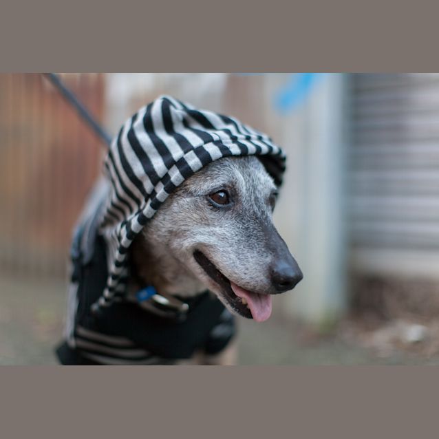 Photo of Jd   The Fine Wine Connoisseur 