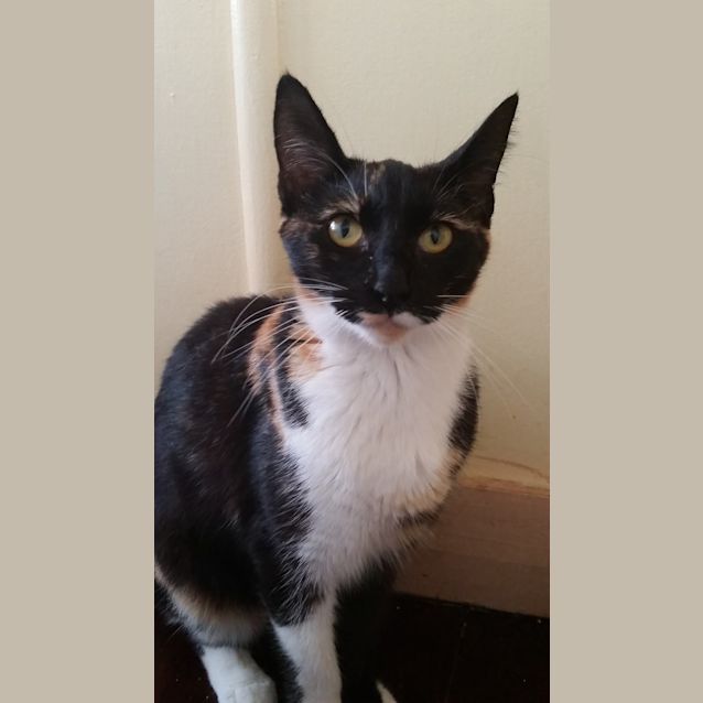 Photo of Sally