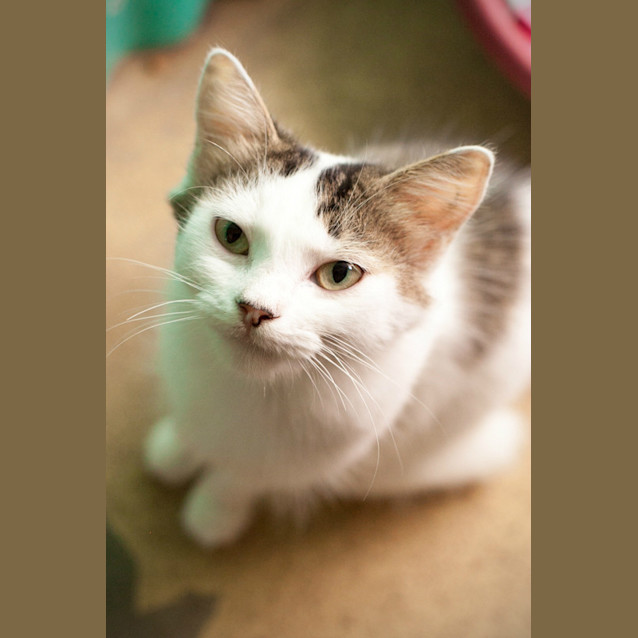 Photo of Sally