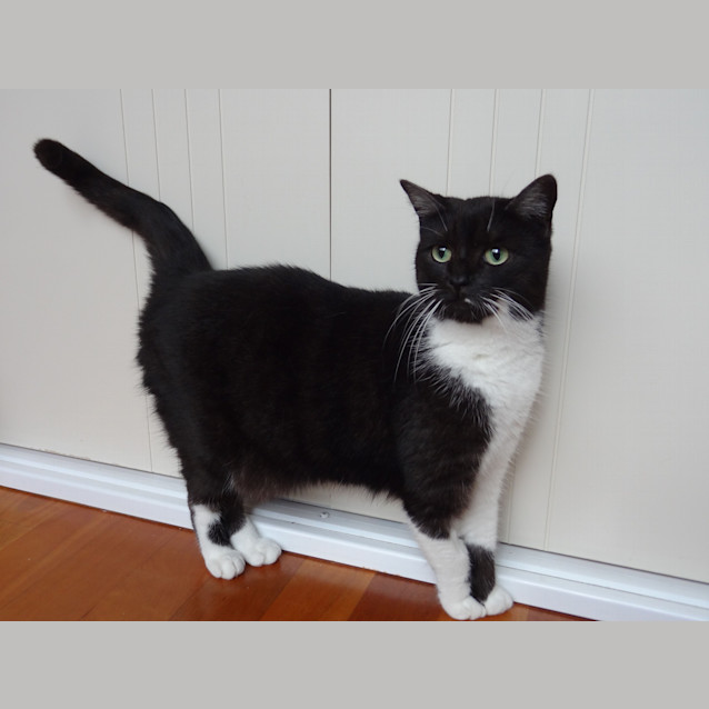 Photo of Georgie & Tobi