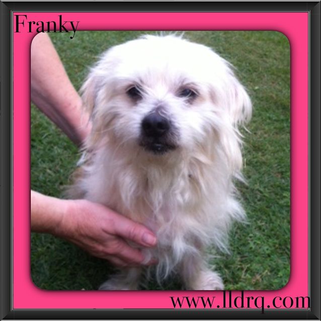 Photo of Franky