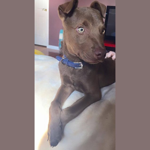 Photo of Jethro