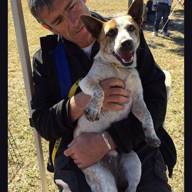 Photo of Jed (Adoption Pending)