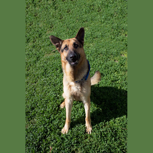 Photo of Loki