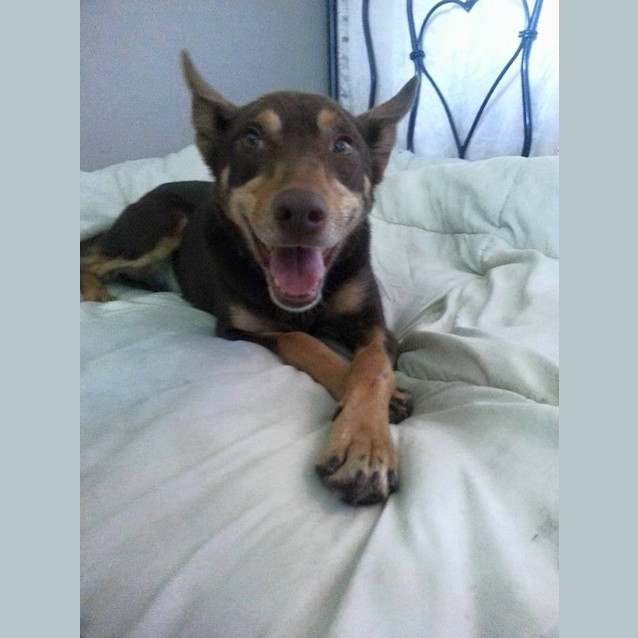 Photo of Peppa