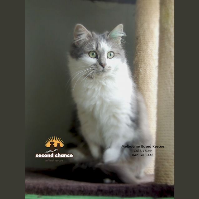 Photo of Greta