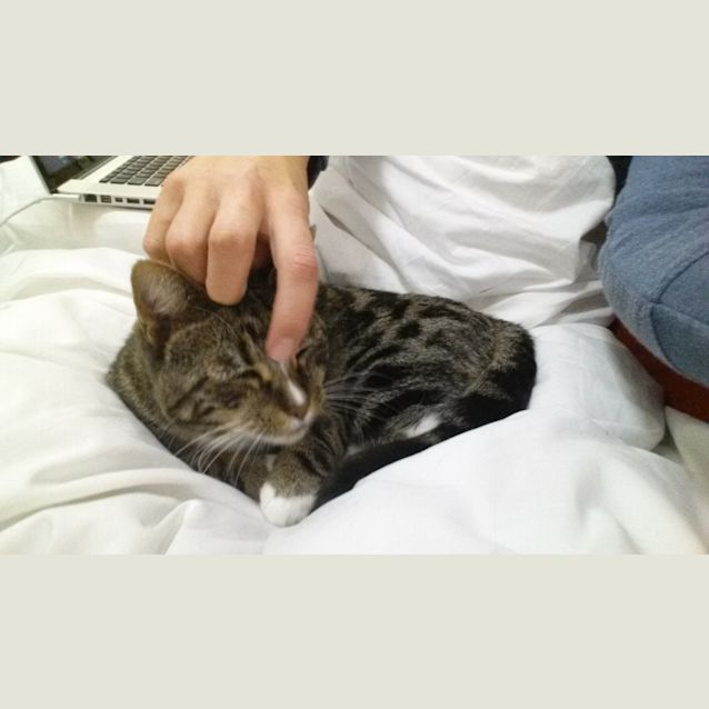 Photo of Juno