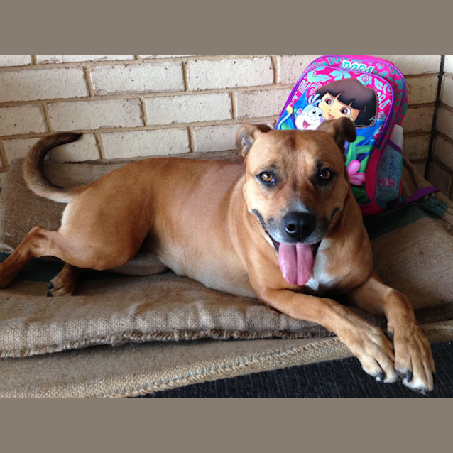 Photo of Emmy ~ On Trial 9/9/15