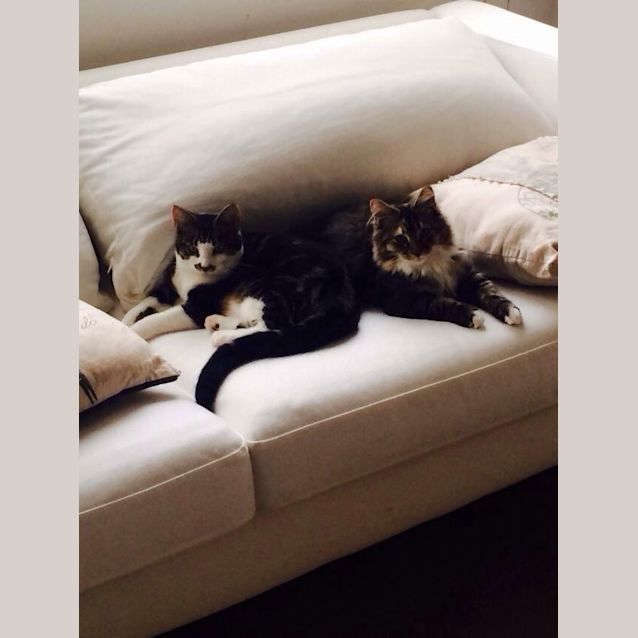 Photo of Cosette And Marius   Double The Fun!