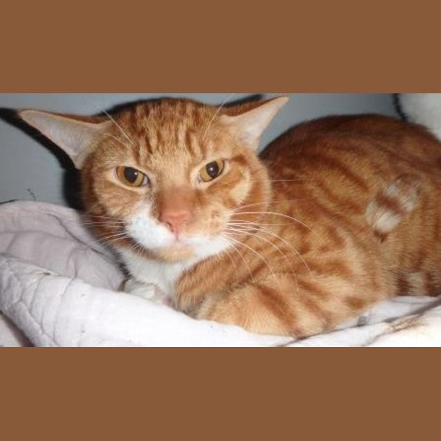 Photo of Zimba