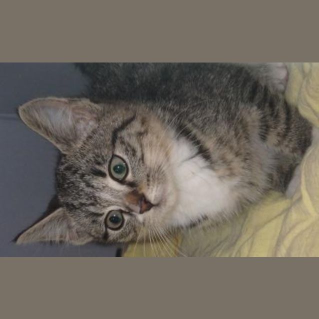 Photo of Minnie