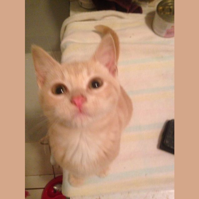 Photo of Sansa