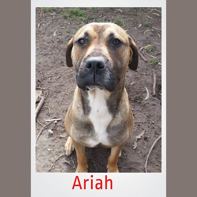 Photo of Ariah