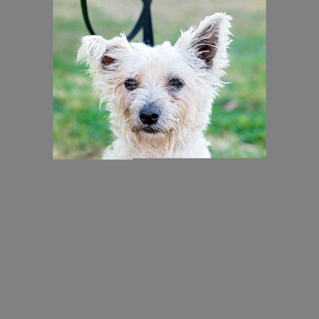 Photo of Lilly