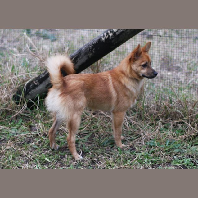 Photo of Jasper