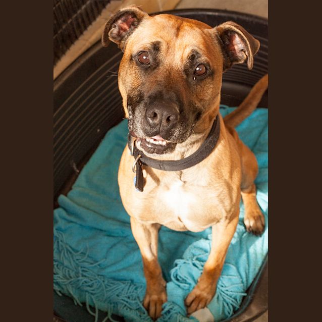 Photo of Tank 