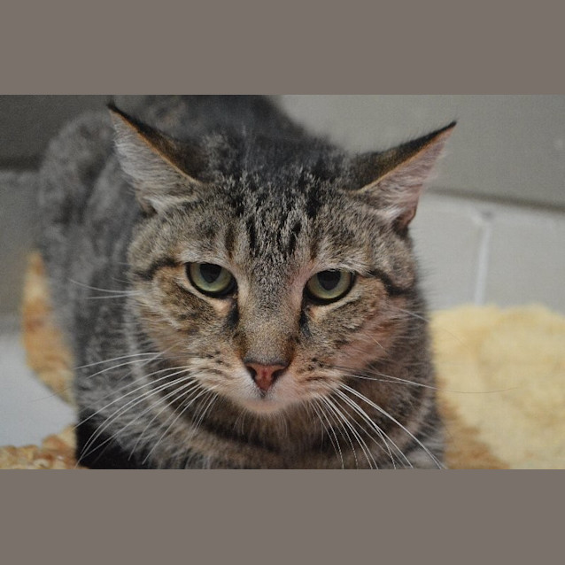 Photo of Reginald