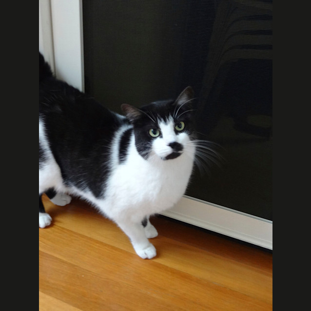 Photo of Tobi & Georgie 