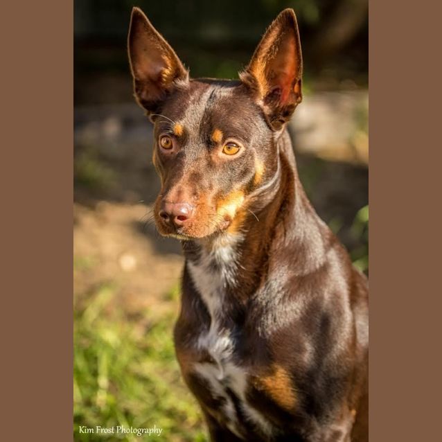 Photo of Jemima Dl901