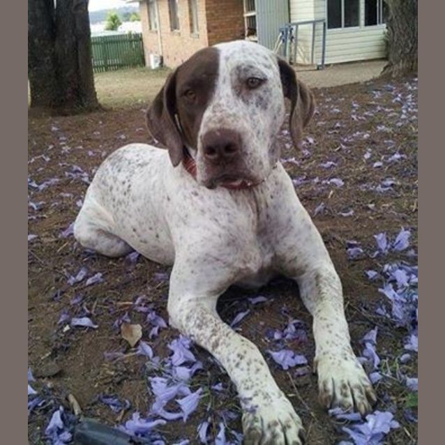Photo of Aspen