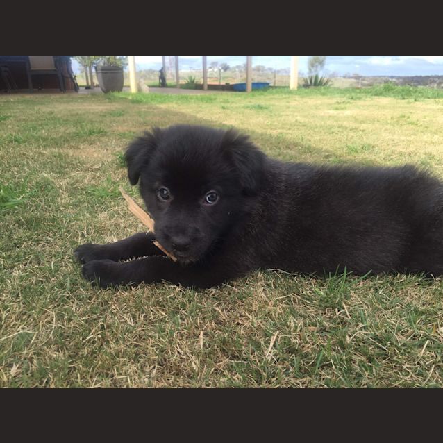 Photo of China