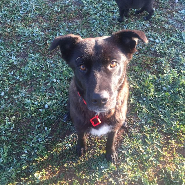 Photo of Coco