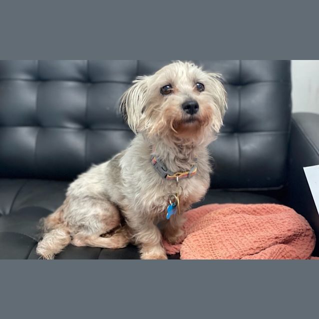 Photo of Betsy