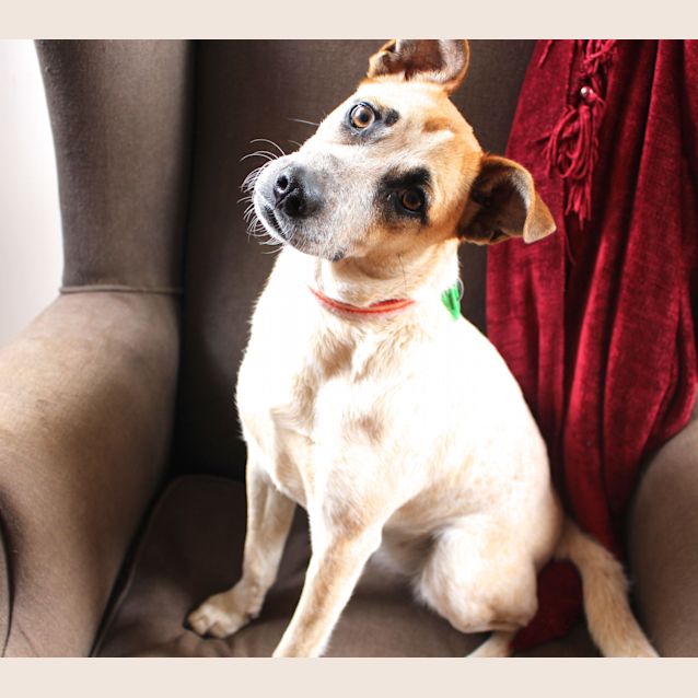 Photo of Buffy