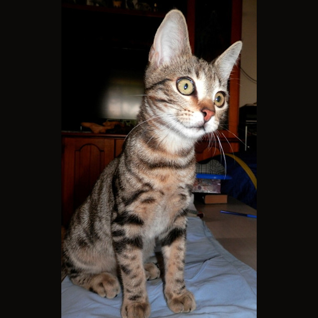 Photo of Ernie