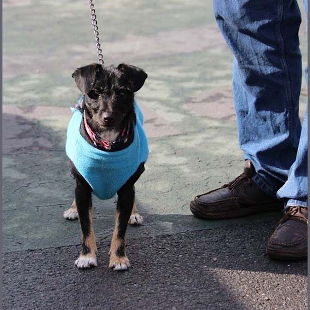 Photo of Benny