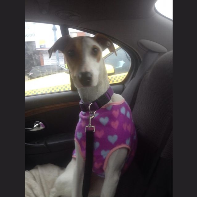 Photo of Jaz