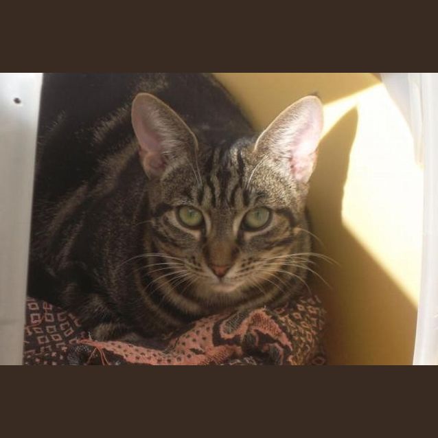 Photo of Lenny